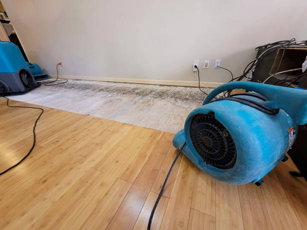 Professional Flood Damage Cleanup technician working in Odessa, DE